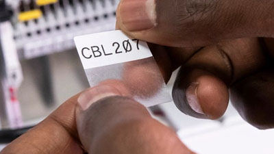 Un technicien s’apprêtant à appliquer sur un fil ou un câble une étiquette Brady en vinyle auto-protégée, dotée d’un adhésif puissant. Le texte est imprimé clairement sur la partie blanche de l’étiquette et une partie transparente enveloppe et recouvre le texte lorsqu’elle est appliquée.