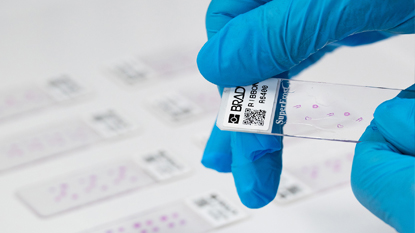 Une personne utilisant l’éditeur d’étiquettes dans Brady Workstation.